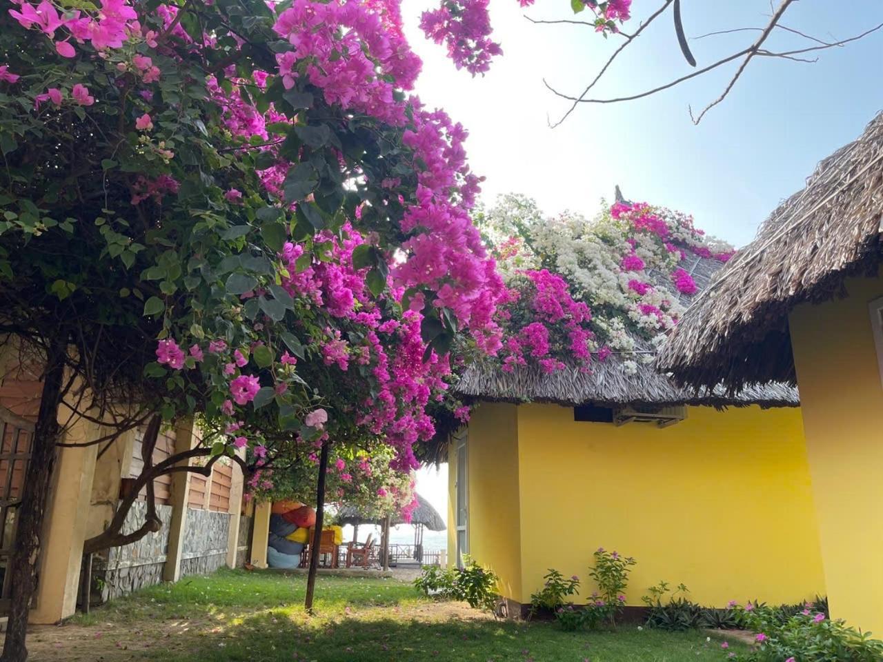 Orchid Boutique Beach Resort Phan Thiết Esterno foto